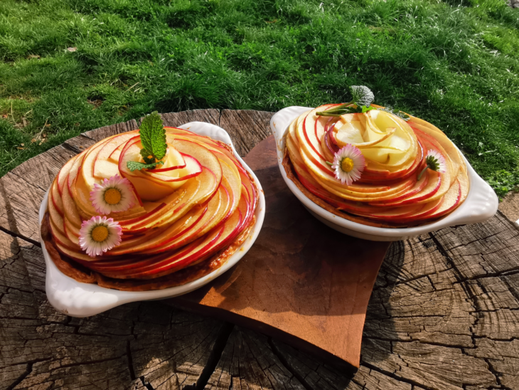 tarte aux pommes originale déposé sur un tronc de bois à coté de l'herbe fraiche et verte